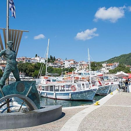 Вилла Mikri Gonia Скиатос Экстерьер фото